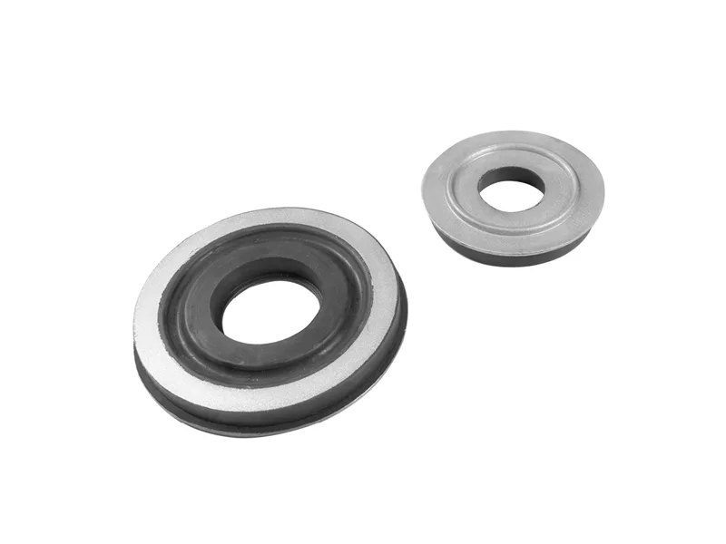 TYPE-FS